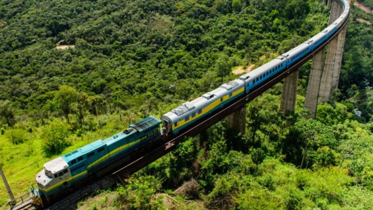 Trem colorido percorrendo uma ponte alta em meio a uma densa floresta verde, sob um céu ensolarado. Possivelmente Curitiba.