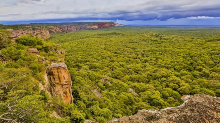 Vista panorâmica de montanhas verdes cobertas por neblina, destinos de serra para fugir do calor no Brasil