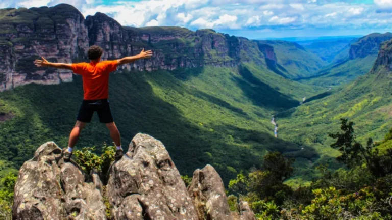 Ecoturismo no Brasil representado por trilha ecológica em meio à mata atlântica com vegetação exuberante e luz natural