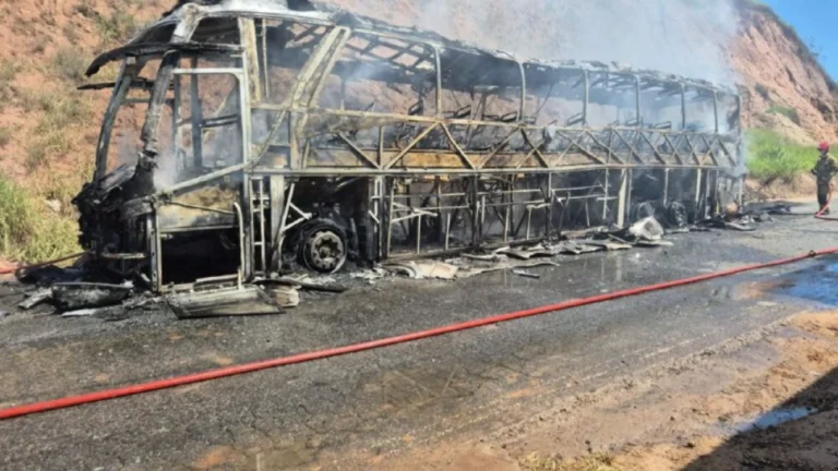 Ônibus de viagem completamente carbonizado e destruído pelo fogo na MG-133, com fumaça subindo e bombeiro à direita.