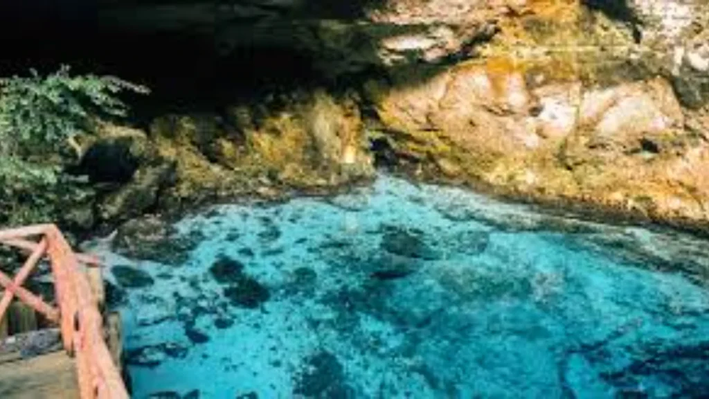Para onde viajar em fevereiro no Brasil: vista aérea de praia tropical com águas cristalinas e coqueiros