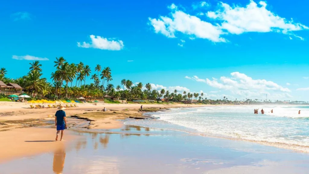 Para onde viajar em março no Brasil: vista aérea de praia tropical com águas cristalinas e coqueiros