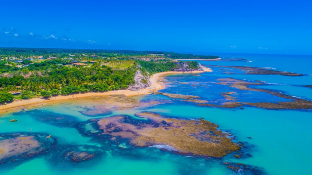 Vista aérea da praia de Maragogi com areia clara, coqueiros e um mar de tons azul e verde, revelando piscinas naturais.