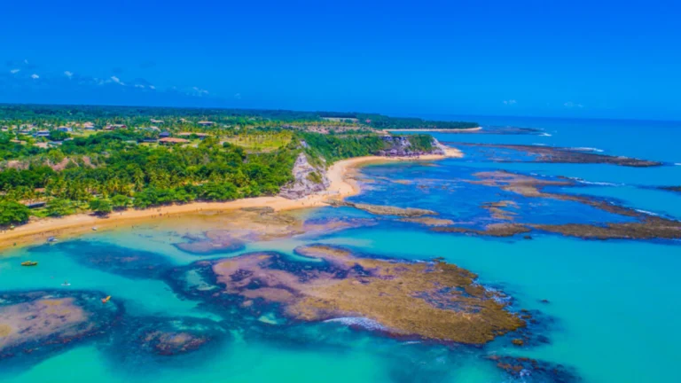 Vista aérea da praia de Maragogi com areia clara, coqueiros e um mar de tons azul e verde, revelando piscinas naturais.